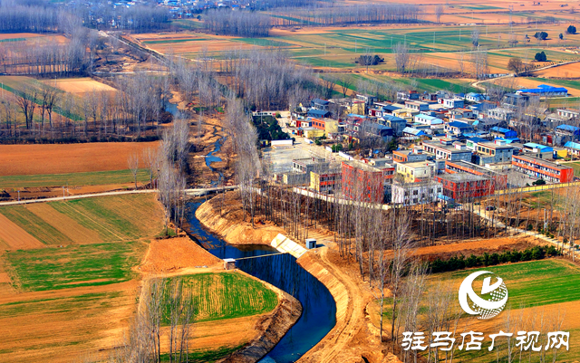 泌陽縣黃山口鄉(xiāng)：走穩(wěn)小麥“田管棋”，繪就夏收好“豐”景