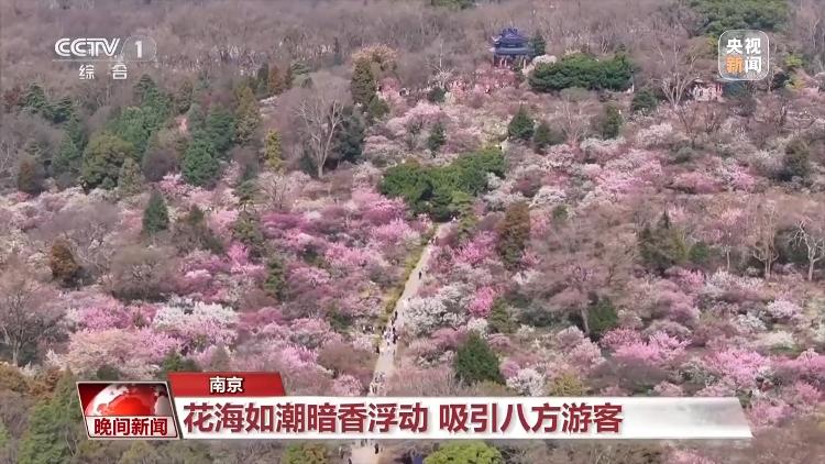 春天就是要看花花花花花，熱門春游目的地藏在這里