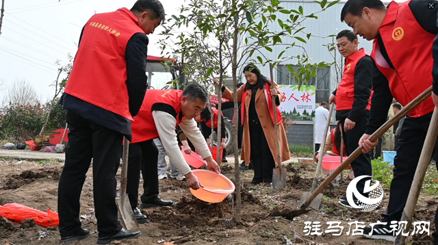 平輿縣身邊好人協(xié)會(huì)：綠美平輿 共植好人林