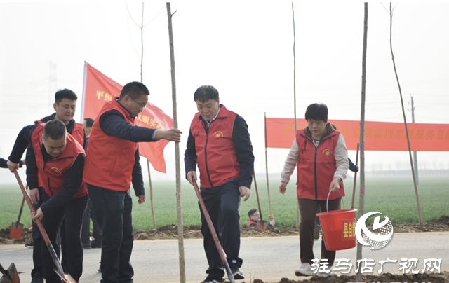 平輿縣干部職工開展義務(wù)植樹活動(dòng)為城市生態(tài)建設(shè)增添新綠