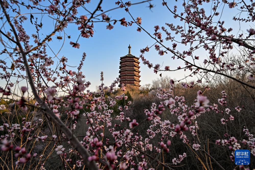 春日尋芳