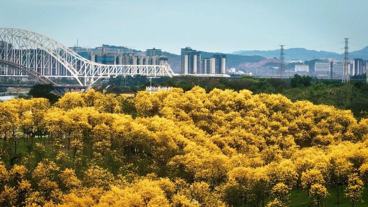 春意漸濃，這條高鐵沿線的寶藏城市“藏不住”了！