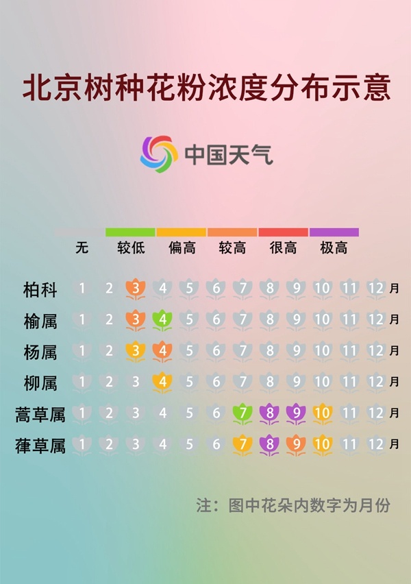 前方噴嚏警告！又到花粉過(guò)敏季，四招教你有效預(yù)防