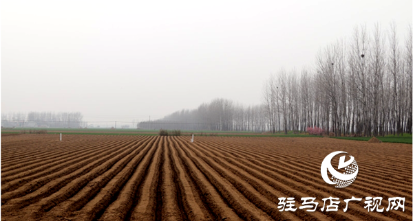  平輿縣東皇街道：溝渠連通勾勒出一幅新時代鄉(xiāng)村振興的生動圖景