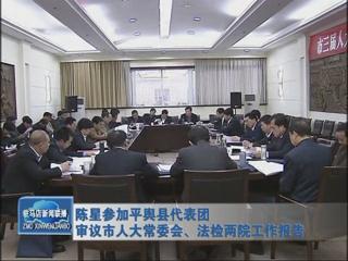 陳星參加平輿代表團審議市人大常委會、法檢兩院工作報